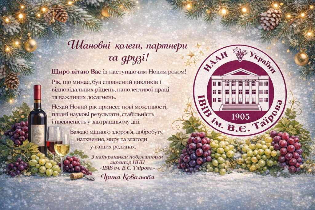 З Новим 2025 Роком!